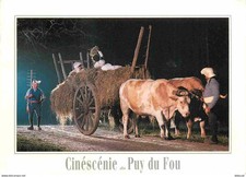Animaux - Vaches - Vendée - Les Epesses - Cinescenie du Puy du Fou - Attelage de