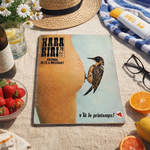 Magazine hara kiri - magazine,