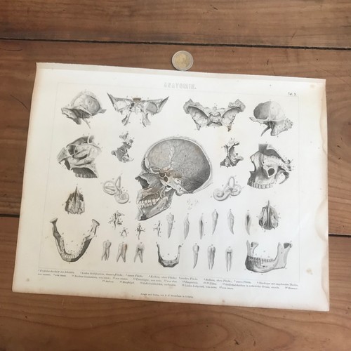 Gravure ancienne 19eme n744 - 19eme,