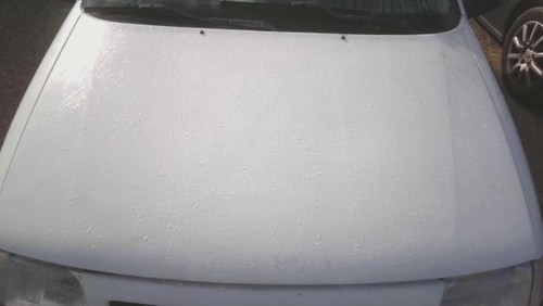 Capot citroen saxo phase - citroen, 1