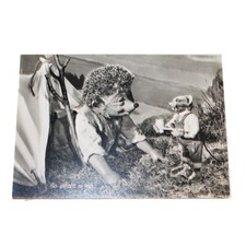 Ancienne carte postale steiff - carte,