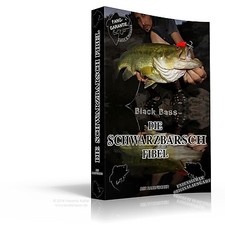 Black Bass LE BAR NOIR FIBEL