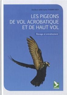 Pigeons vol acrobatique et - de,