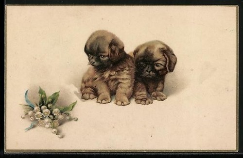 Deux chiots avec - un, bouquet