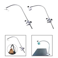 Chien de toilettage pour