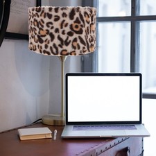 Tableau de la lampe de la