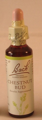 Remèdes fleurs bach - remèdes,