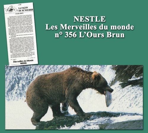 Nestlé the wonders - wonders,