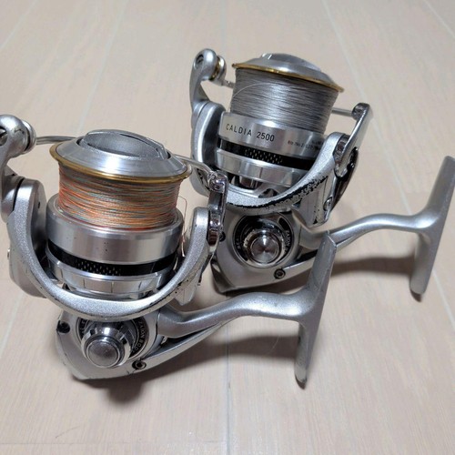 Daiwa caldia 2500 2506 - 2500, &