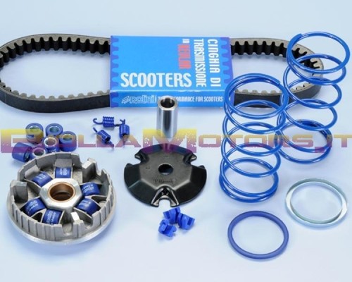 241 670 kit variateur polini - 241.670.1,