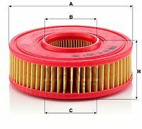 FILTRE à AIR AUSTIN