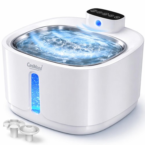 Fontaine eau chat - chat, &