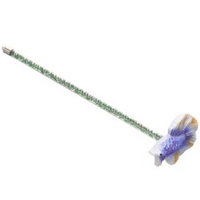  Aquarium Betta poisson