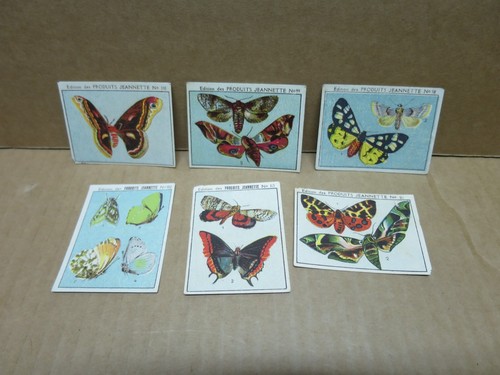 Produits jeannette entomologie - produits,
