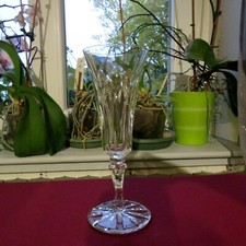 1 flûte à champagne en cristal de saint louis modèle Camargue 18,5 cm 