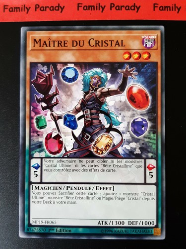 Maitre cristal mp19 fr065 - maitre, du