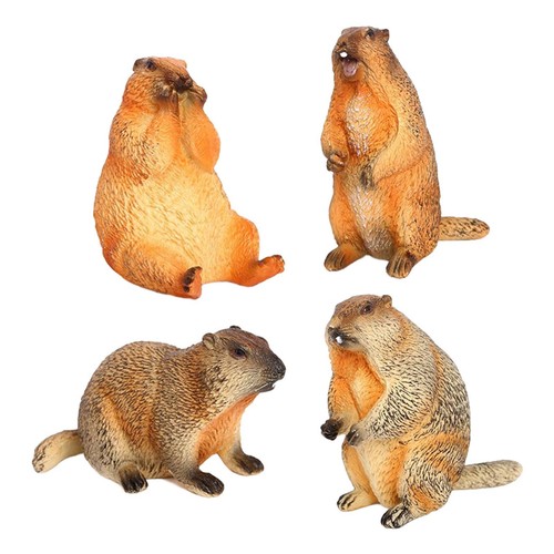 Simulation modèle animal - simulation,
