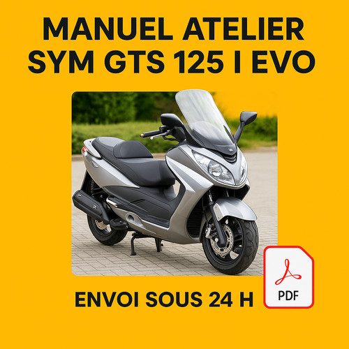 Manuel atelier sym - manuel, 125