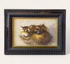 Portrait d'un Chat et d'un