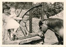 Snapshot enfant fillette femme avec poney cheval horse pony girl woman 