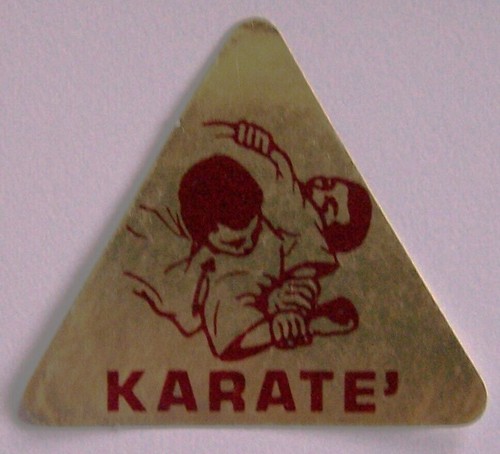 Sticker karate cox - sticker,