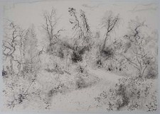 Bernard GANTNER : Jardin au