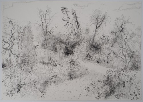 Bernard gantner jardin - gantner, :
