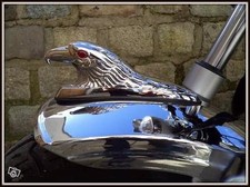 Tête aigle métal - tête, d'aigle