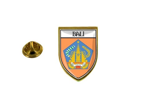 Pins pin badge - pin, souvenir