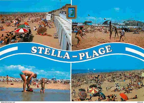 Carte postale stella - carte,