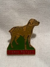 PIN'S CHIEN - BRAQUE FRANCAIS