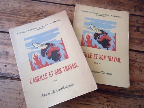 Apiculture abeiile son - l'abeiile,