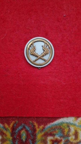 Insigne béret service - insigne,