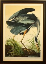 Lithographie John James