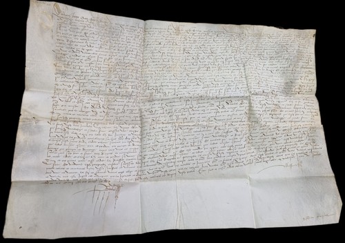 Document ancien sur peau - ancien,