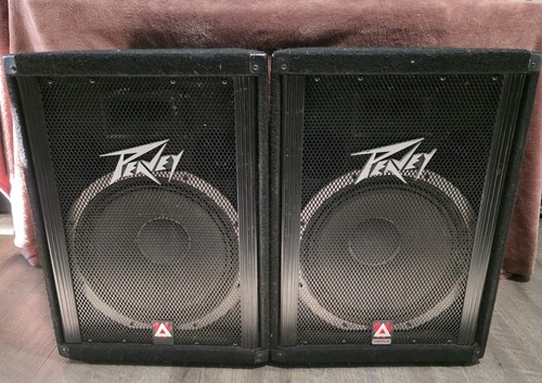 Peavey 115 tls two - 15", two-way