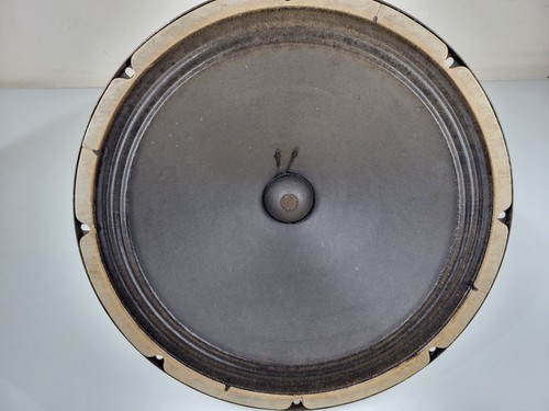 Ampeg model n portaflex - model, b-15-n