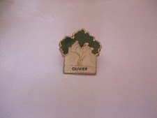 PINS  FORET  ARBRE OLIVIER