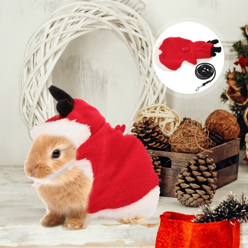 Laisse traction pour - laisse, lapin