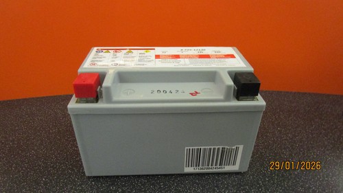 Mtd gel batterie - mtd, v