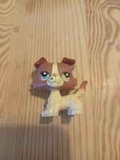 littlest pet shop border