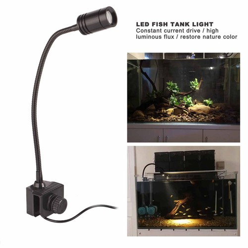 Lampe aquarium led 1w - d'aquarium,