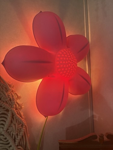 Ikea smila blomma pink flower - smila,