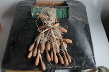 Carreau de dentellière à