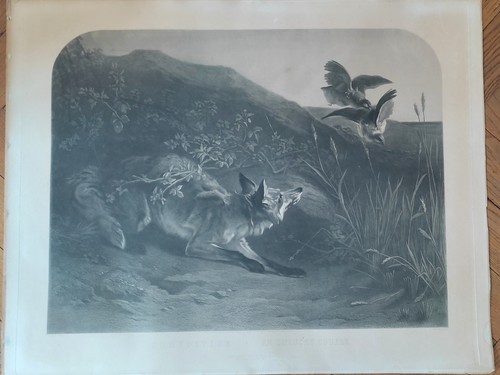 Grande lithographie goupil - grande,