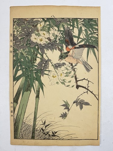 Estampe japonaise sur bois - , «