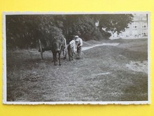 cpa PHOTO FRANCE ATTELAGE CHEVAL CHARETTE FOIN Château