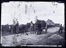 Paysans Travaux de champs