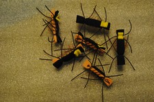 Foam ant grasshopper - ant, flies