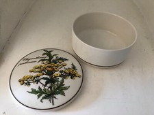 ❤️Superbe  BOITE Vintage BOTANICA par VILLEROY & BOCH Porcelaine, herbier